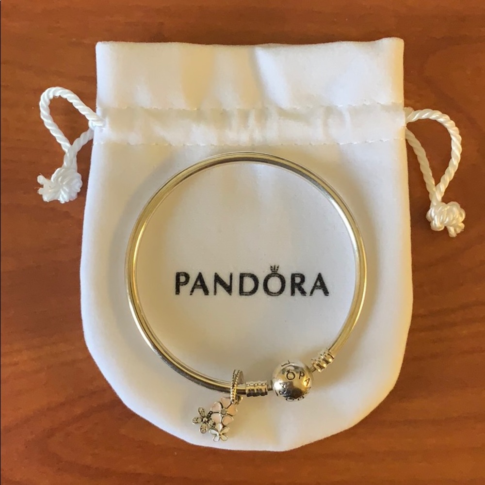 Pandora Charm Bangle